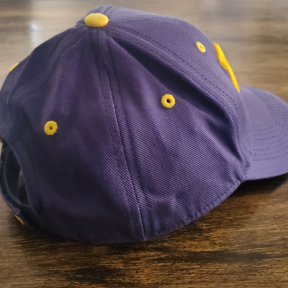 Michigan Wolverines Embroidered‎ Adjustable Cap/Hat, ESPN College Game Day - Picture 6 of 10